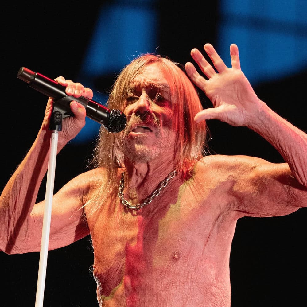 Iggy Pop – Rock