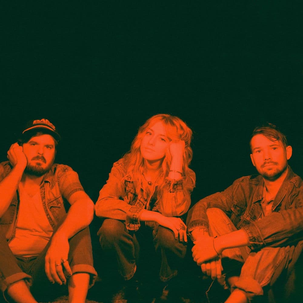 Wildermiss – Pop