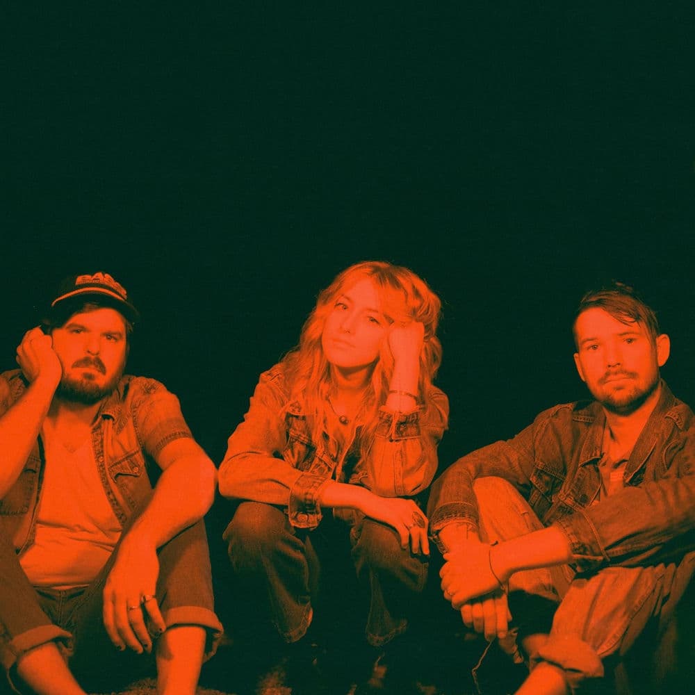 Wildermiss – Pop