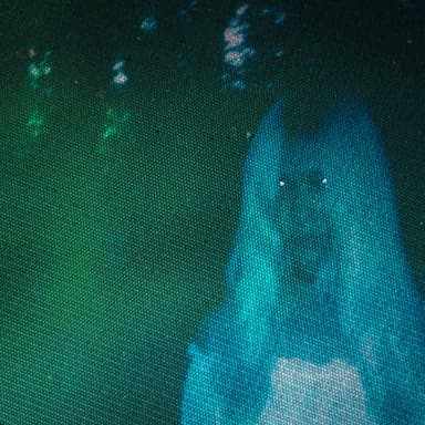 THE HAUNTED YOUTH