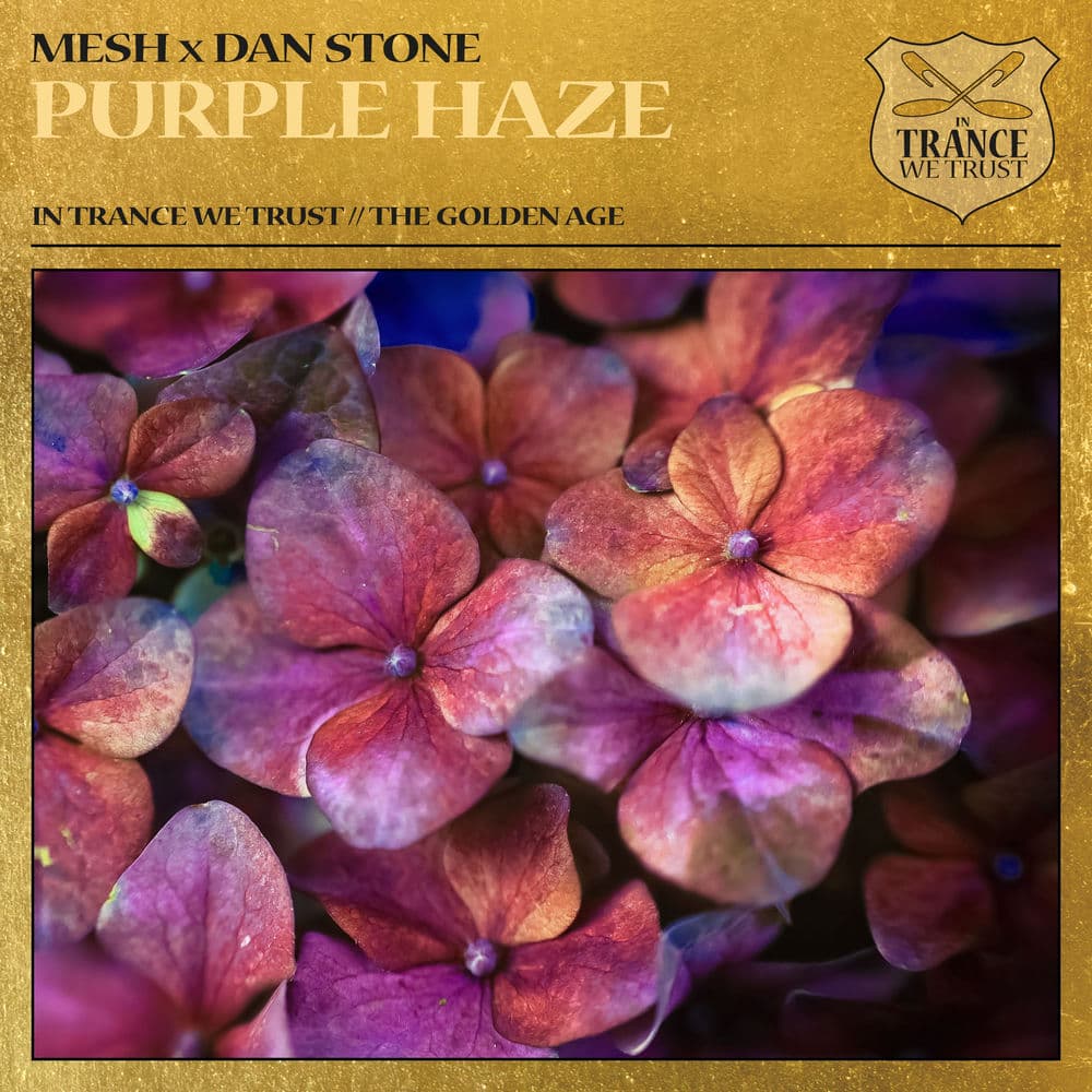 Dan Stone – Dance