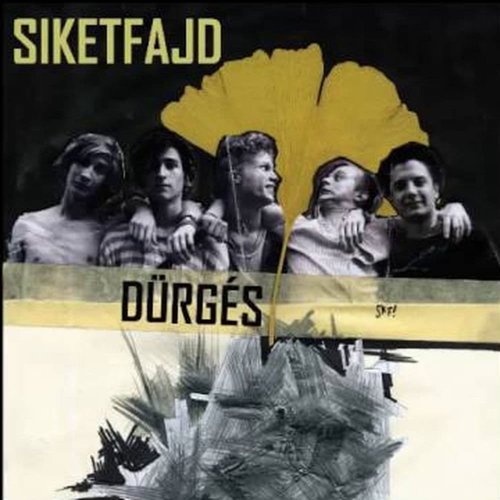 Siketfajd