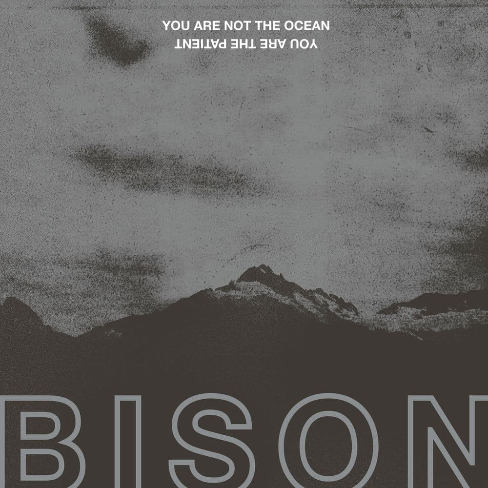 Bison – Punk