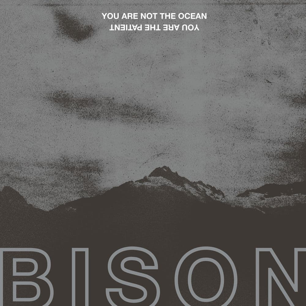 Bison – Punk