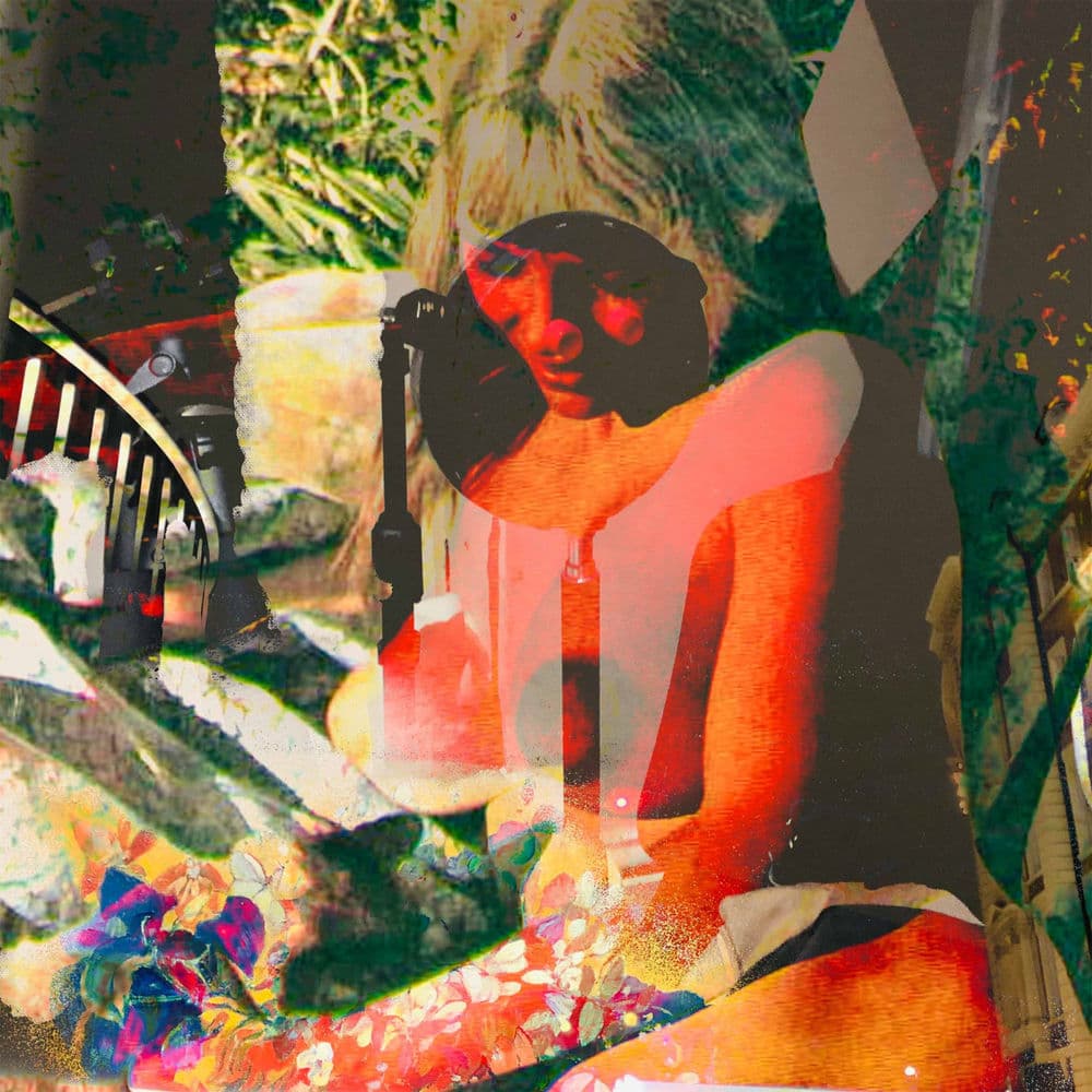Common Goldfish – Alternative
