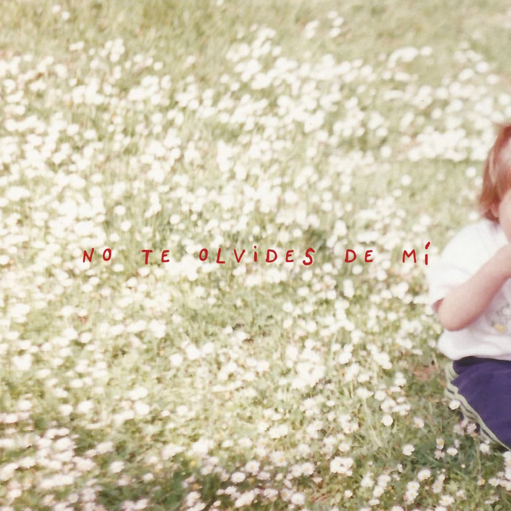 ERIN MEMENTO – Alternative