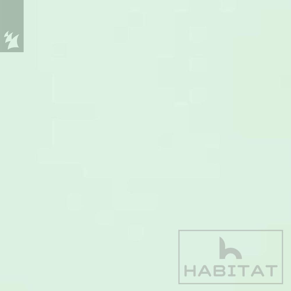 BABYRAT – Punk