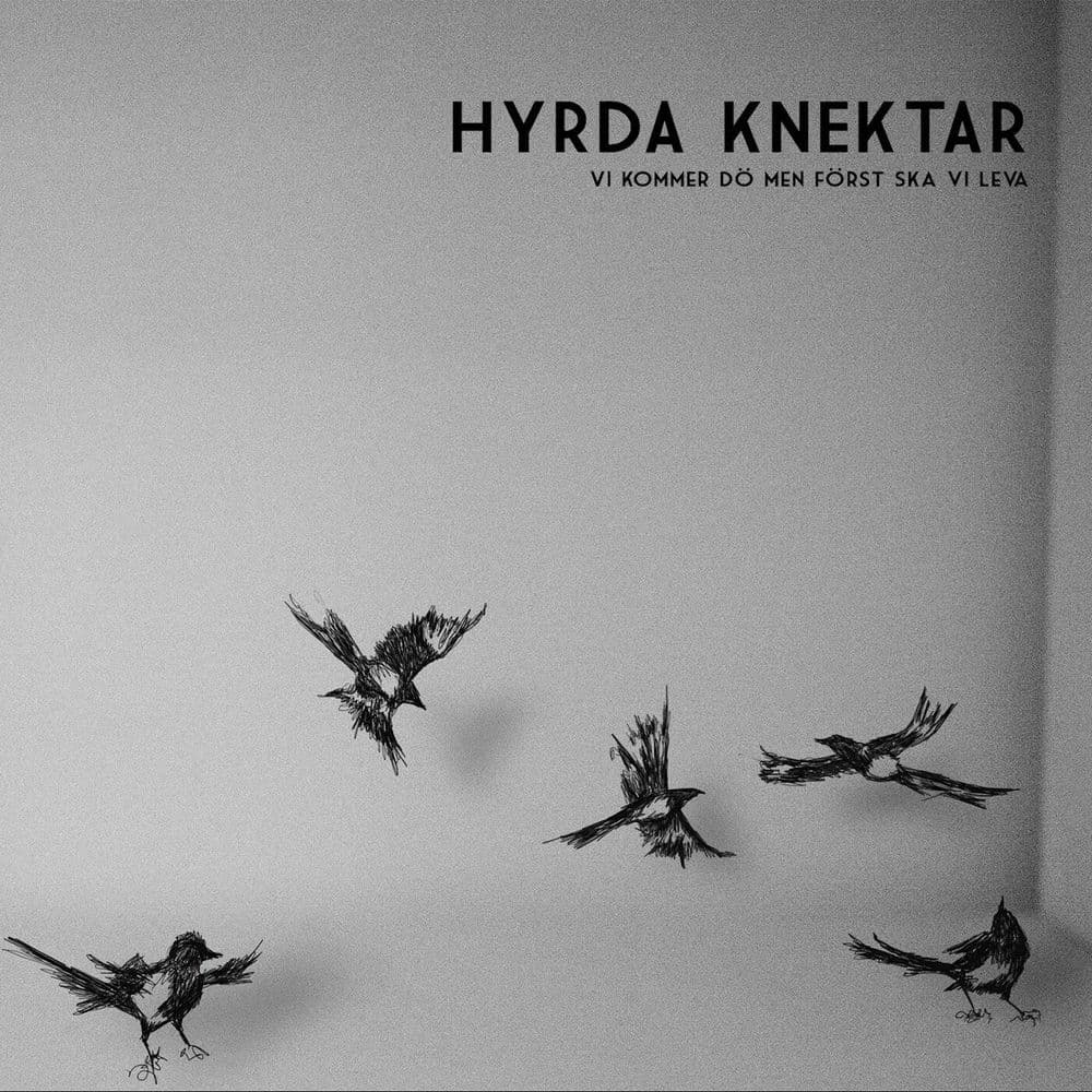 Hyrda Knektar – Punk