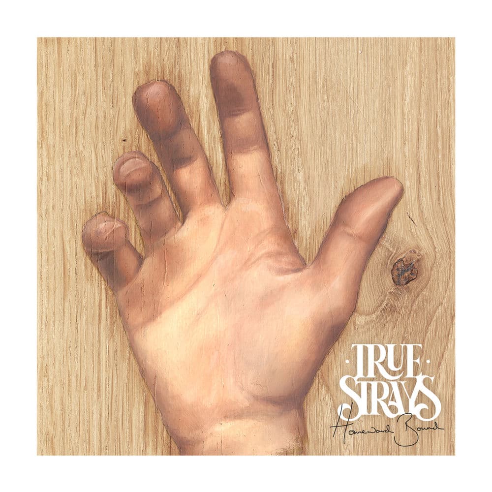 True Strays – Rock