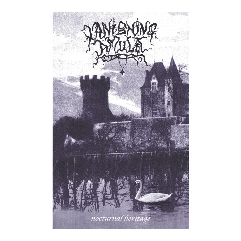 Vanishing Amulet – Pop