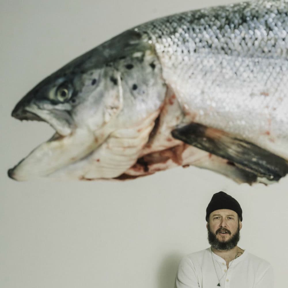 Oniver – Alternative