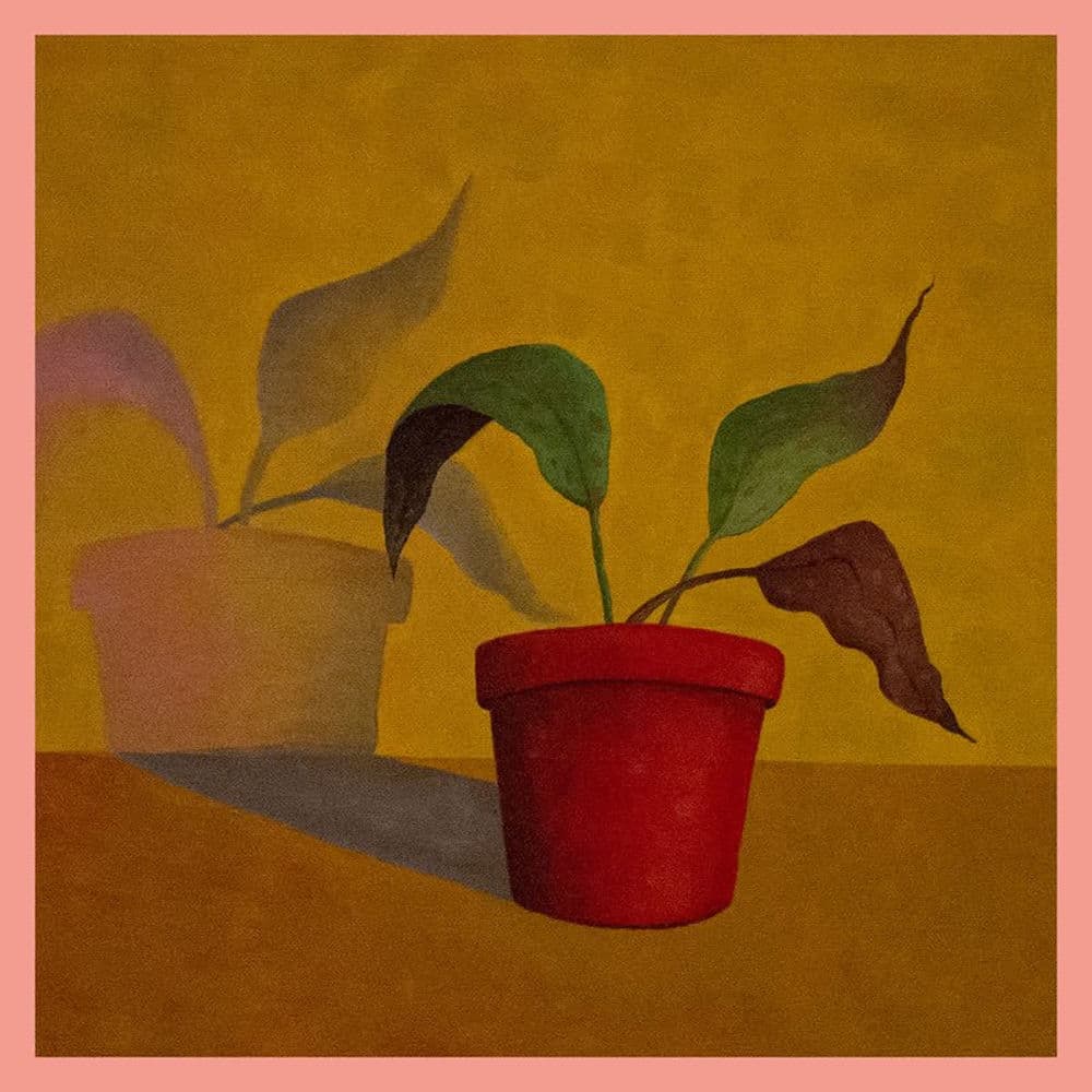 Gurry Wurry – Pop