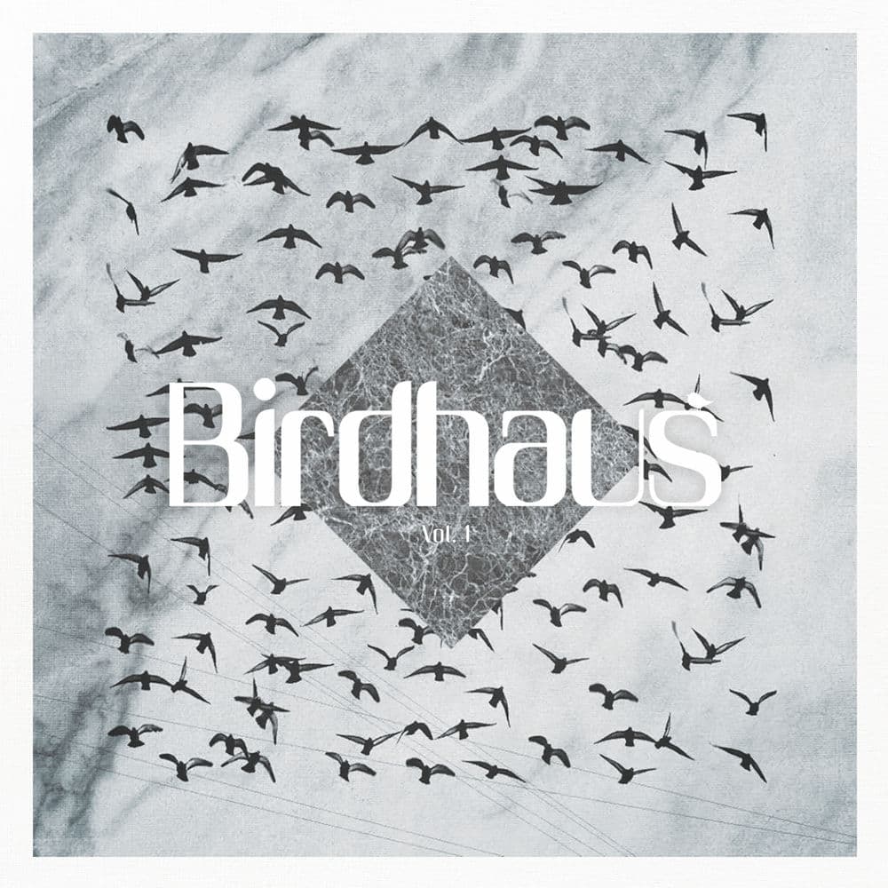 Birdhaus – Electro