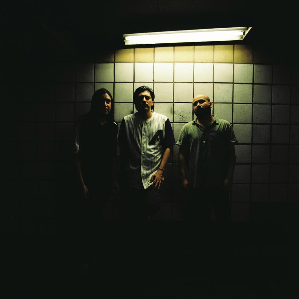Flores – Electro