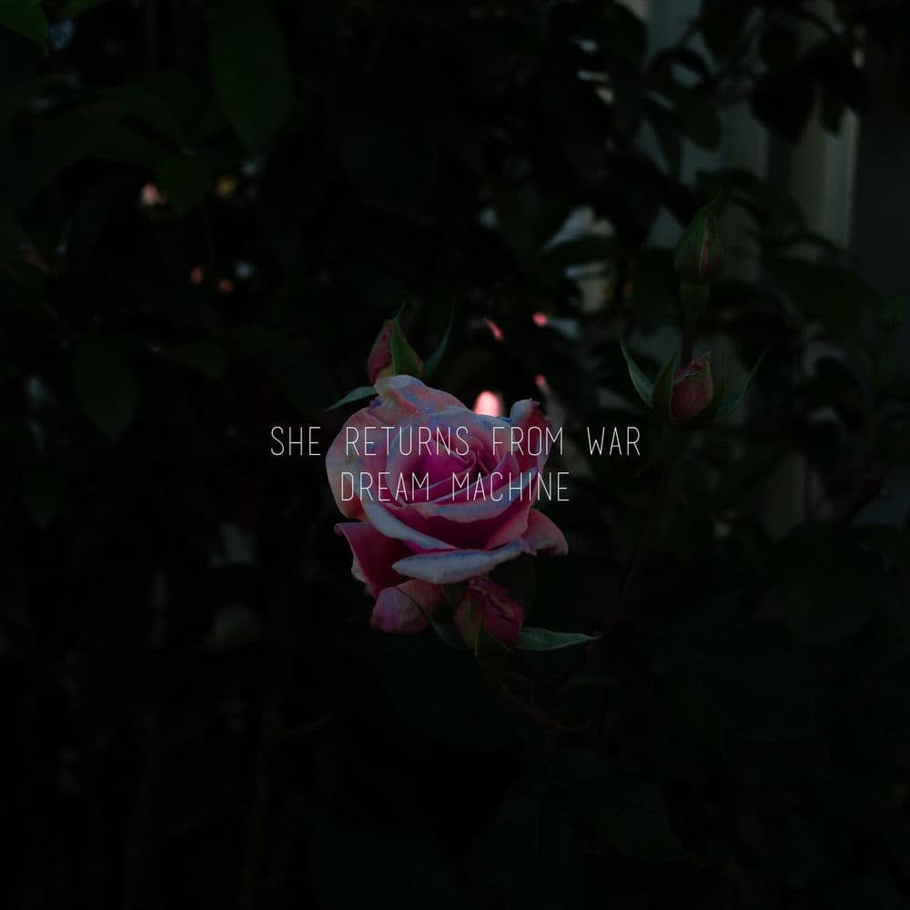 She Returns From War – Country