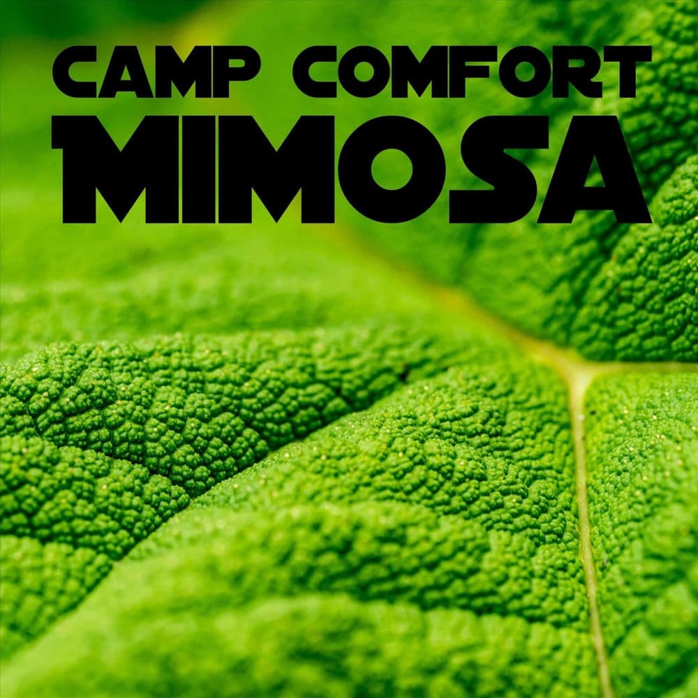 Camp Comfort