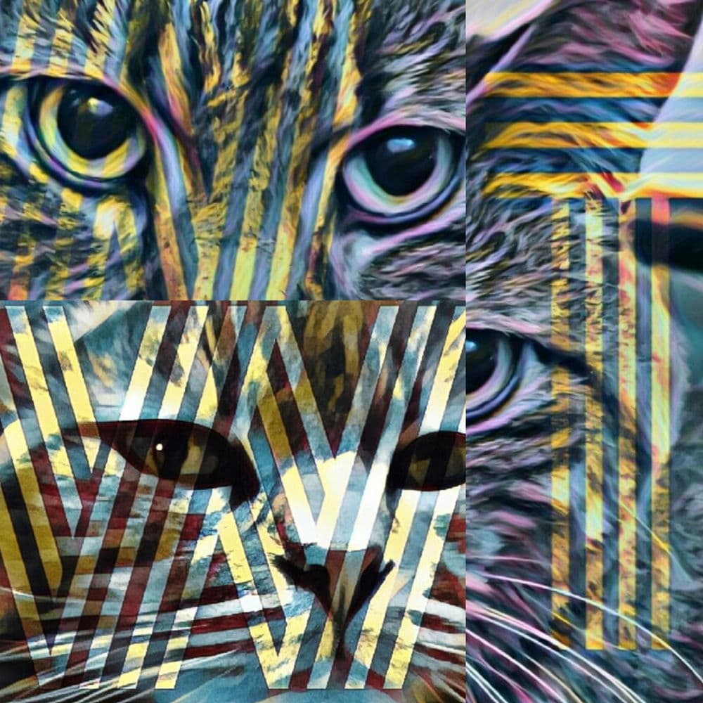 WisdomTraders