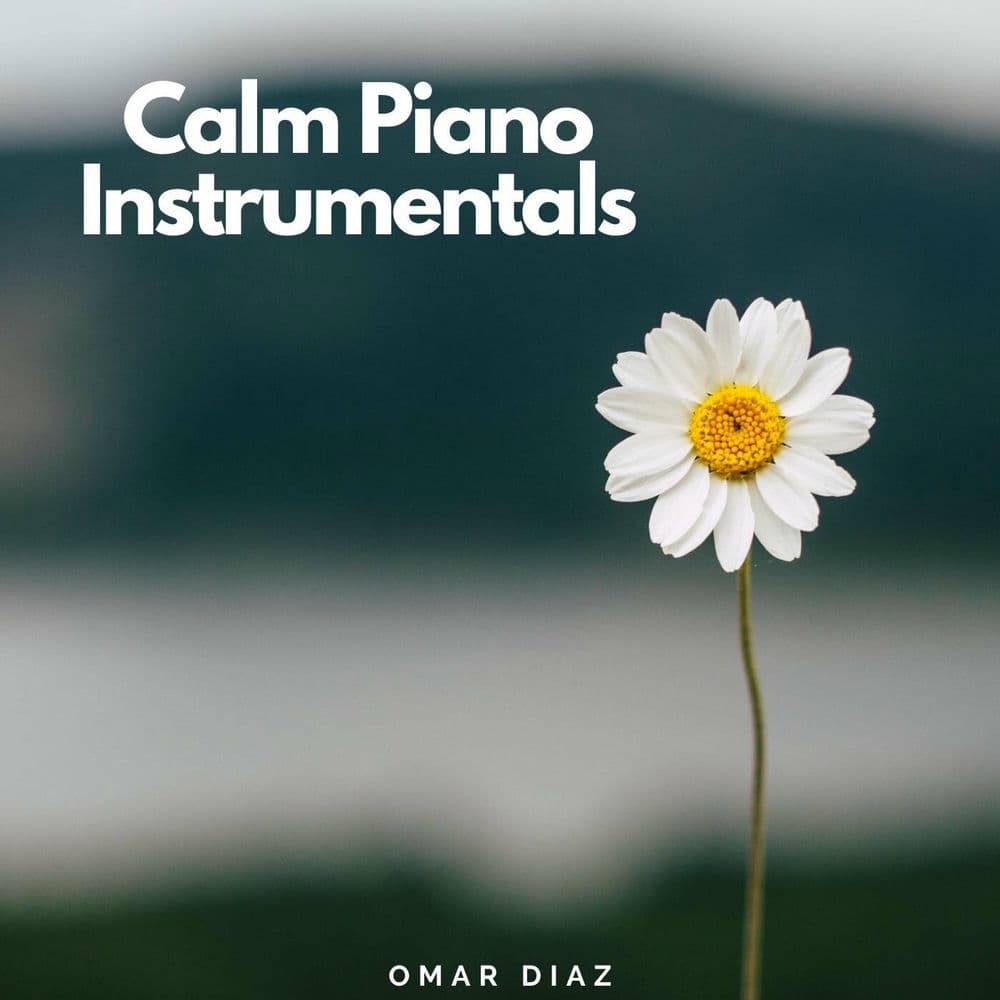 OMAR ZIDIA – Electro