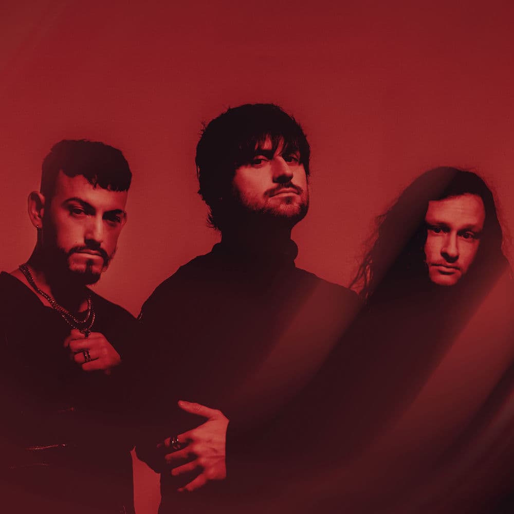 Nevertel – Rock