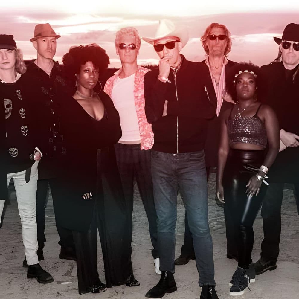 Alabama 3 – Acid House