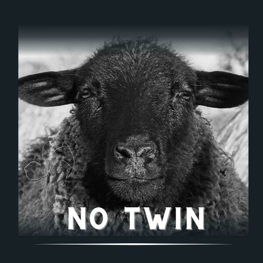NO TWIN – Rock