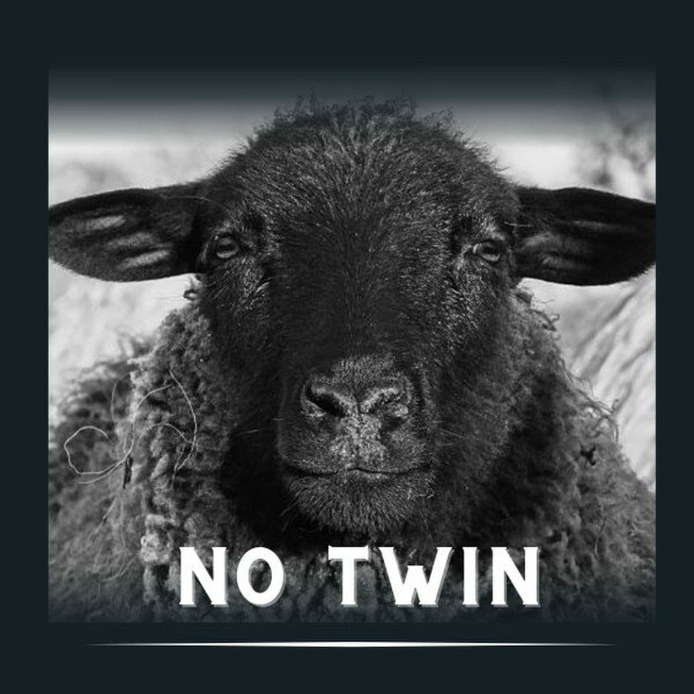 NO TWIN – Rock