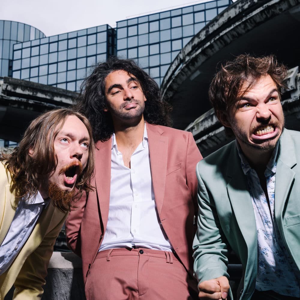 SHAKER POISSON – Alternative