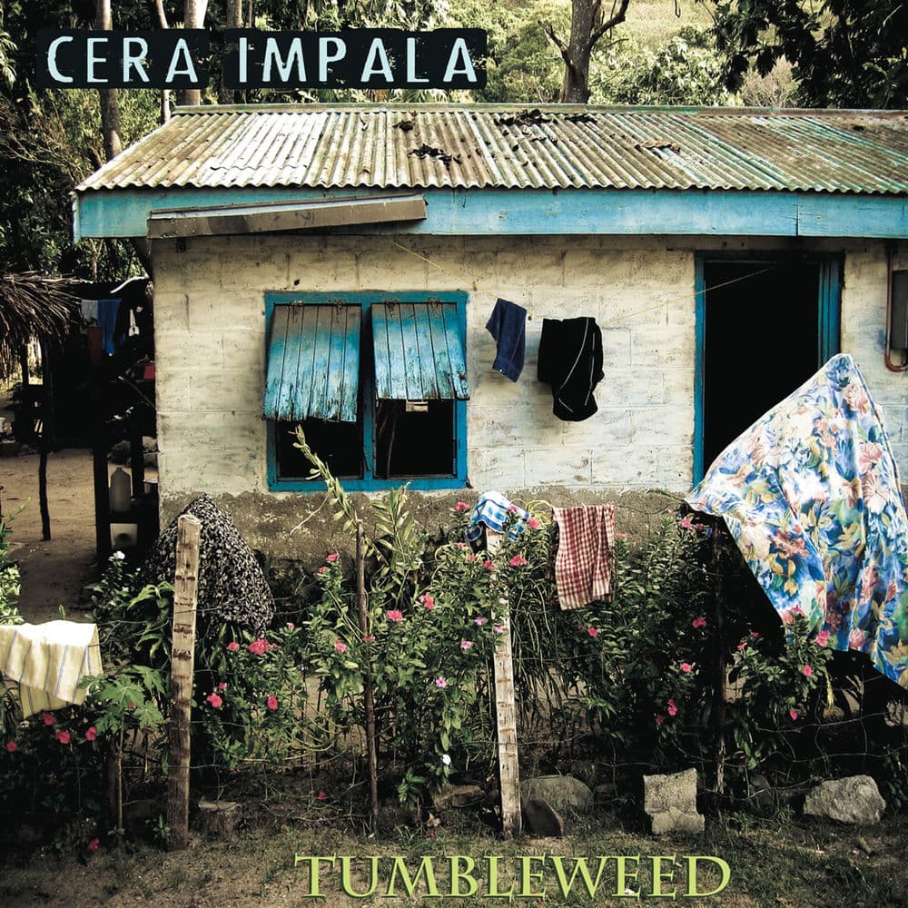 Cera Impala – Rock