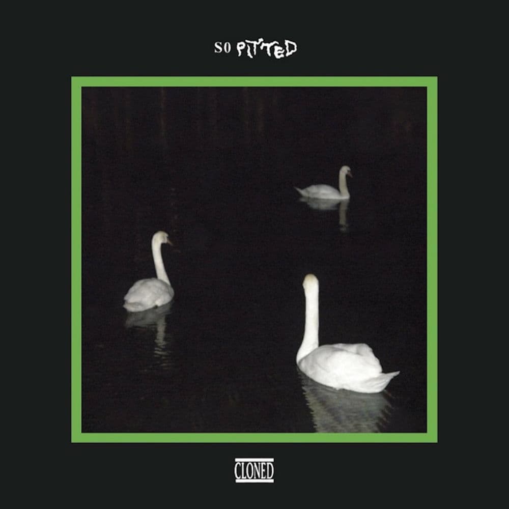 So Pitted – Techno