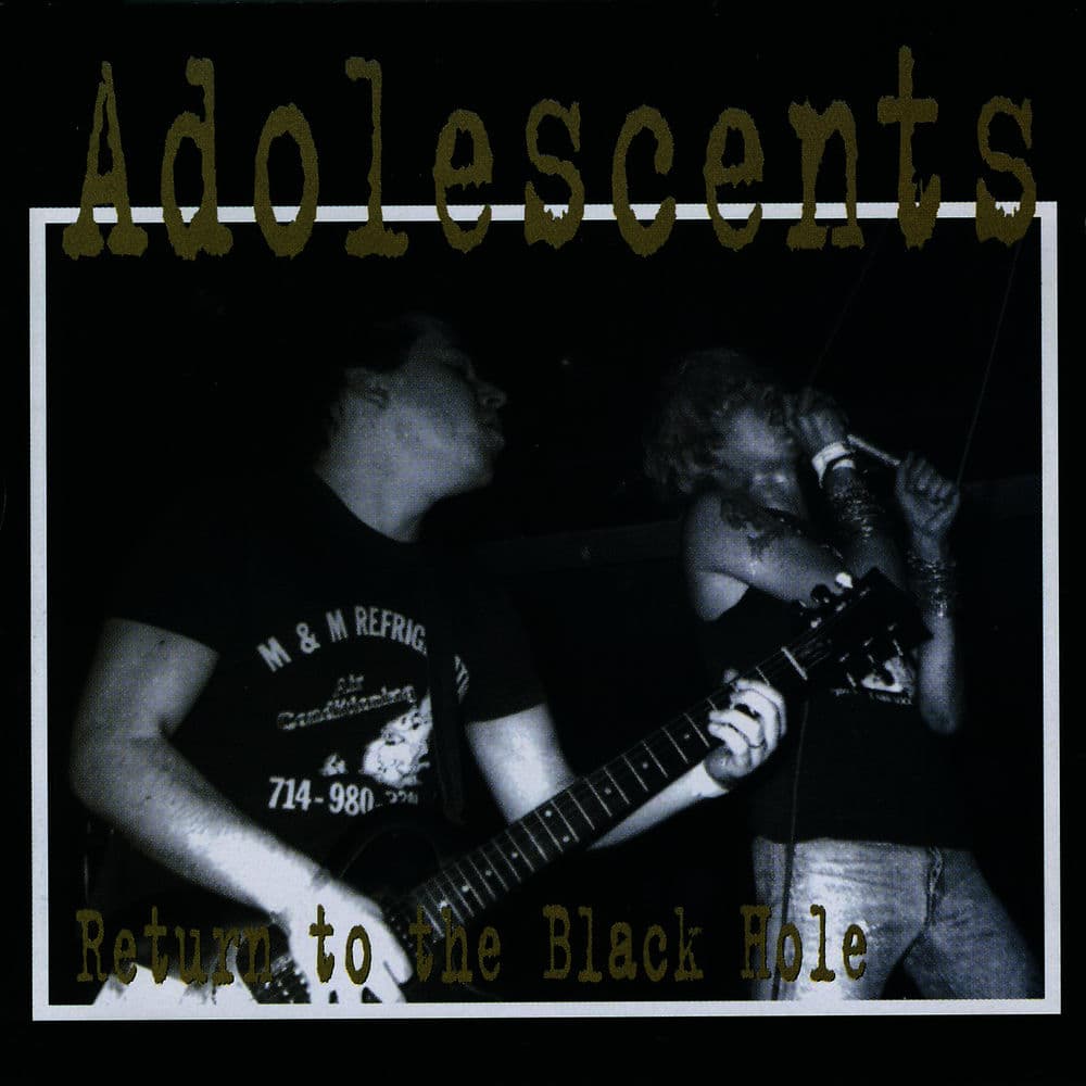 THE ADOLESCENTS – Rock