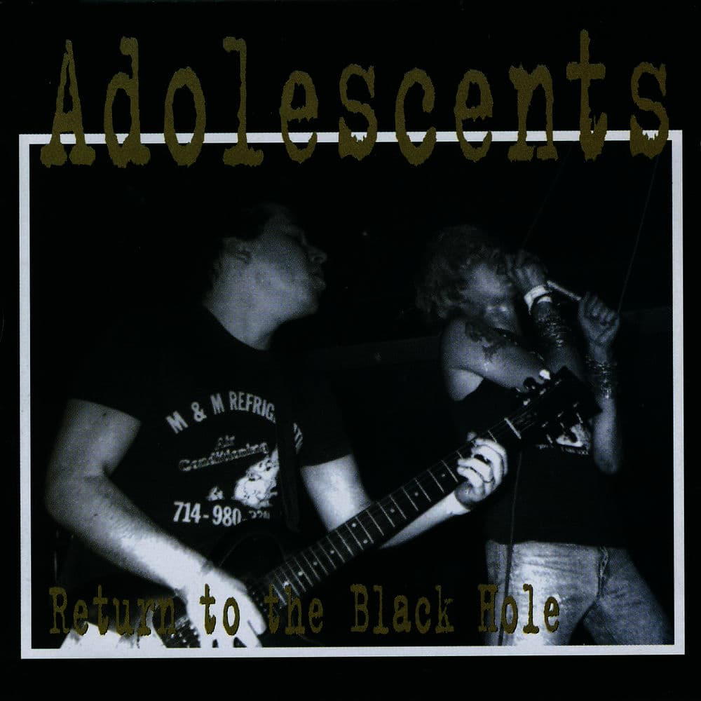 THE ADOLESCENTS β Alternative