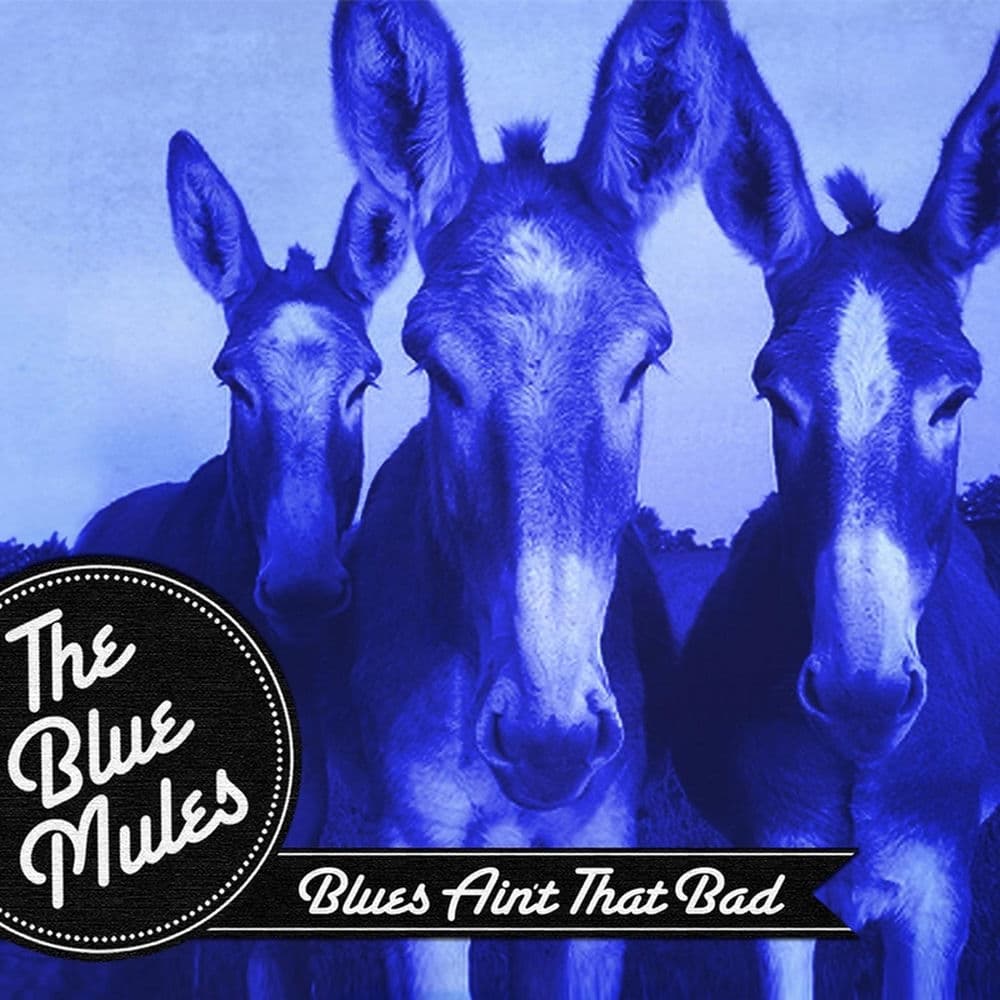 The Blue Mules – Rock
