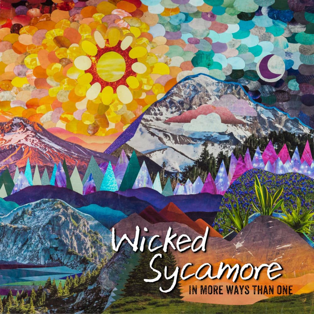 Wicked Sycamore