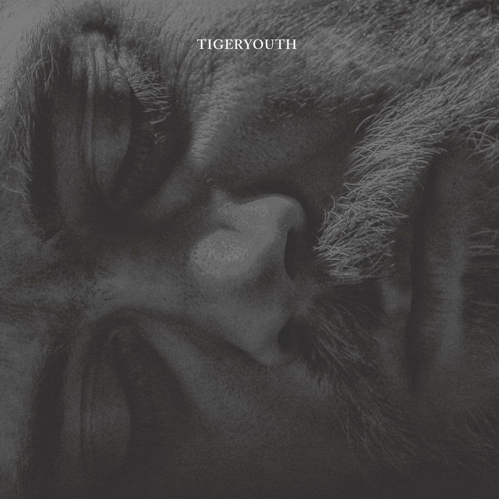 Tigeryouth – Punk