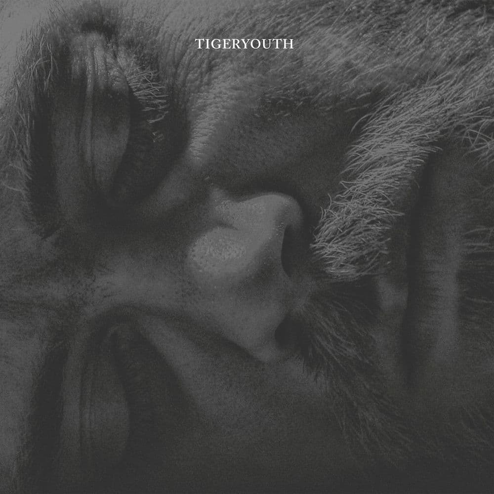 Tigeryouth – Punk