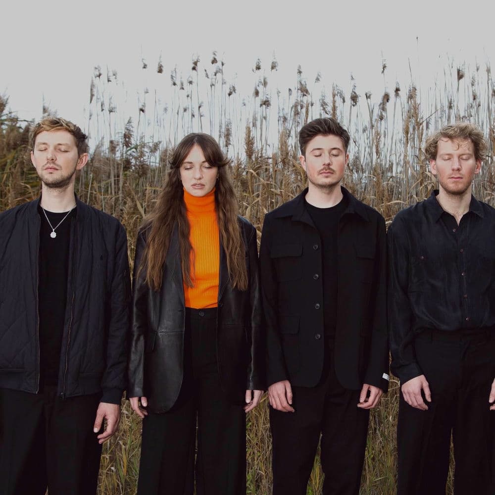 Conic Rose – Jazz