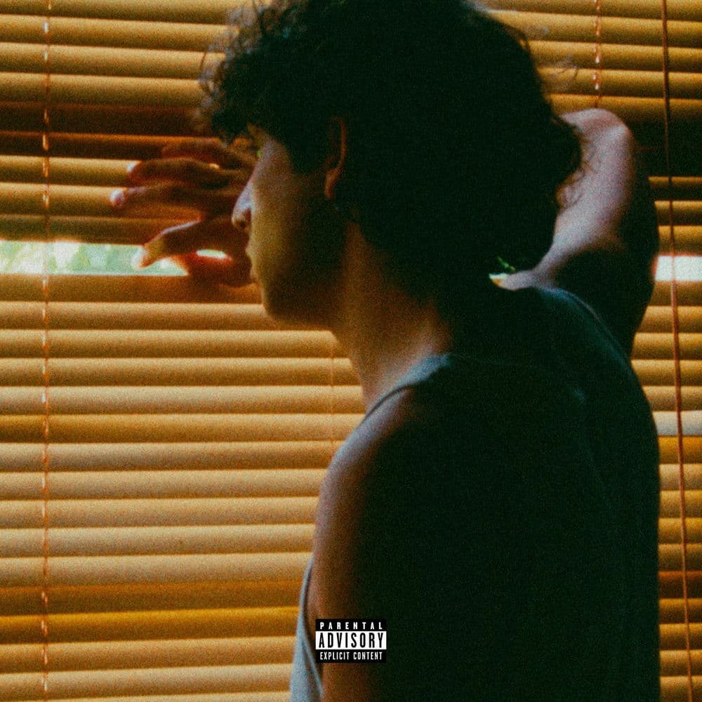 Sauvage – Pop