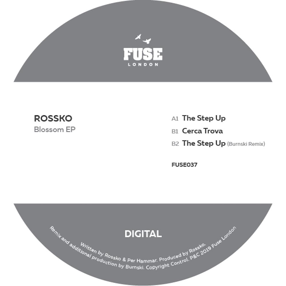 Rossko – Dance