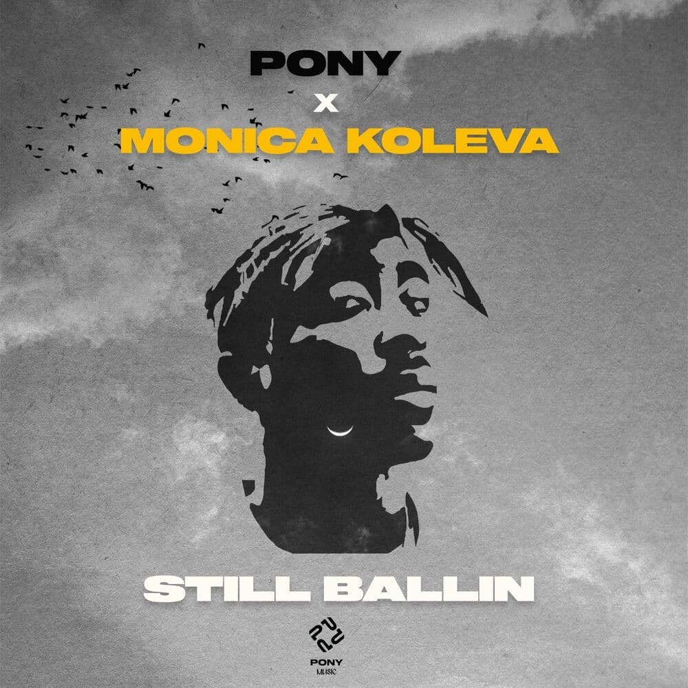 PONY – Rock