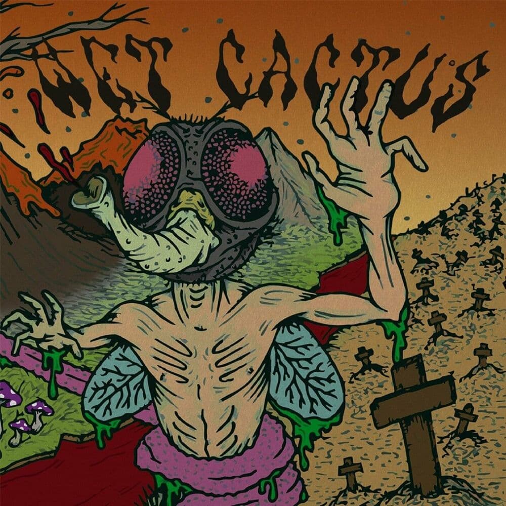 Wet Cactus – Rock