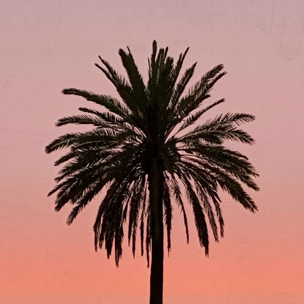 Sub-Tribe – Dub