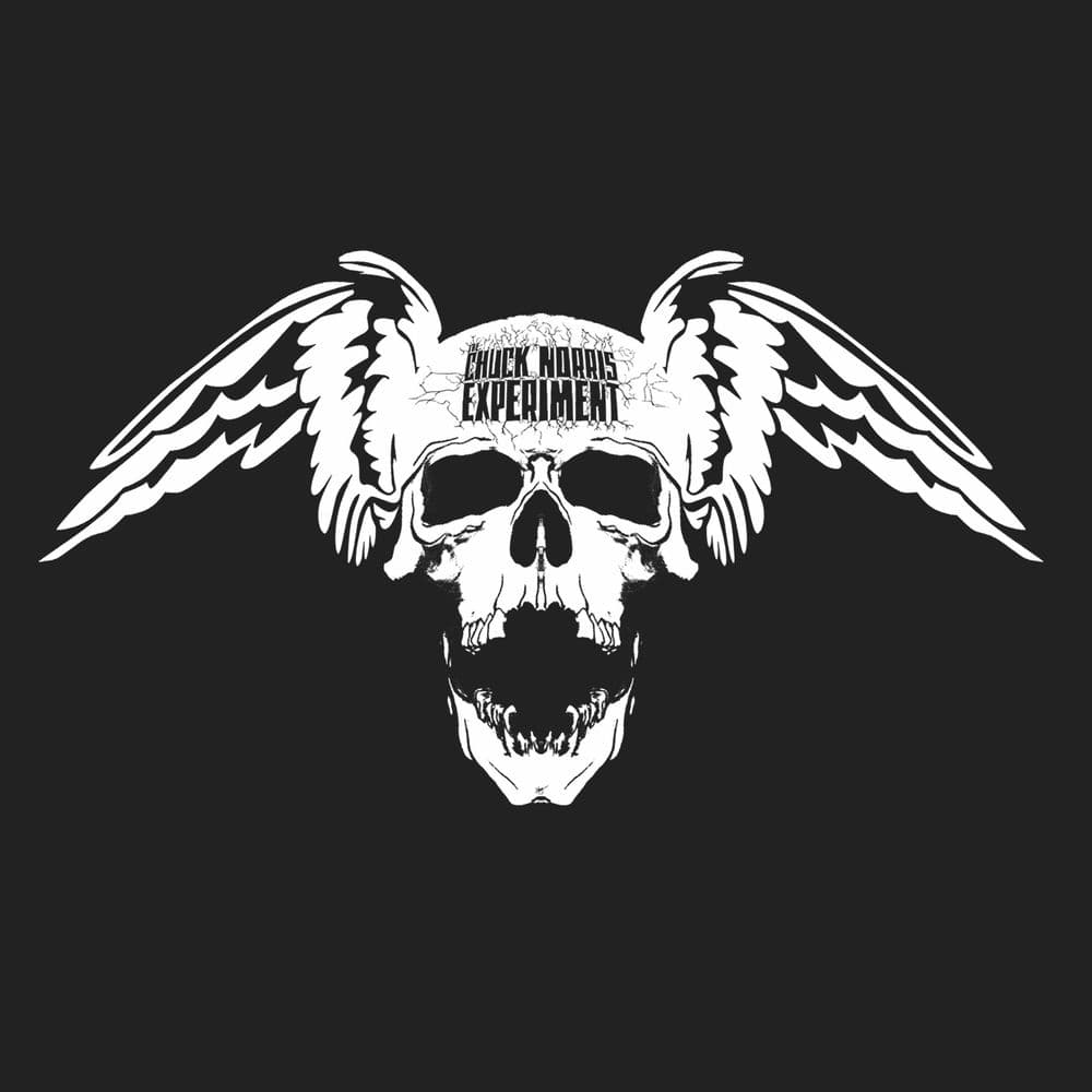 The Chuck Norris Experiment β Rock
