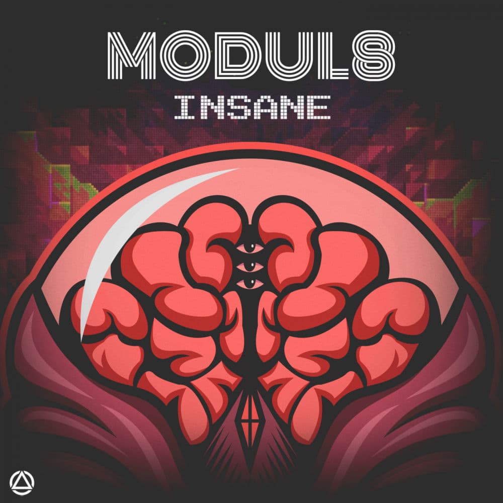 Modul8 – Rap/Hip Hop