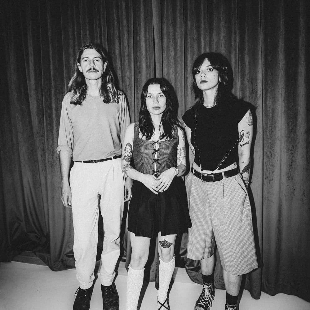 We Hate You Please Die – Garage Punk