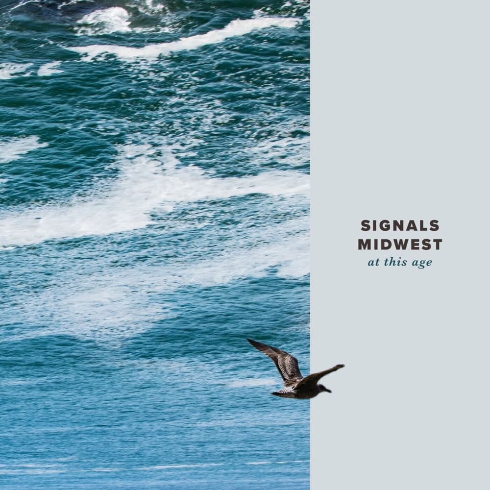 Signals Midwest – Rock