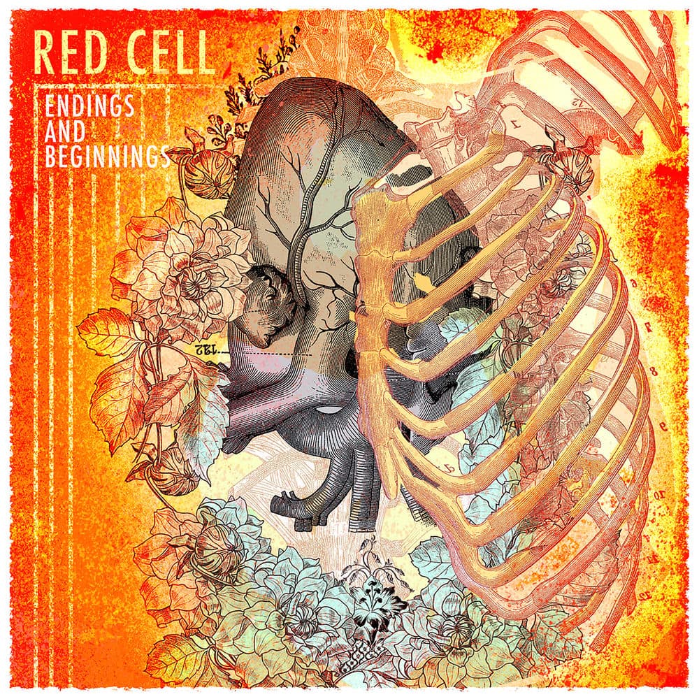 Red Cell – Rock