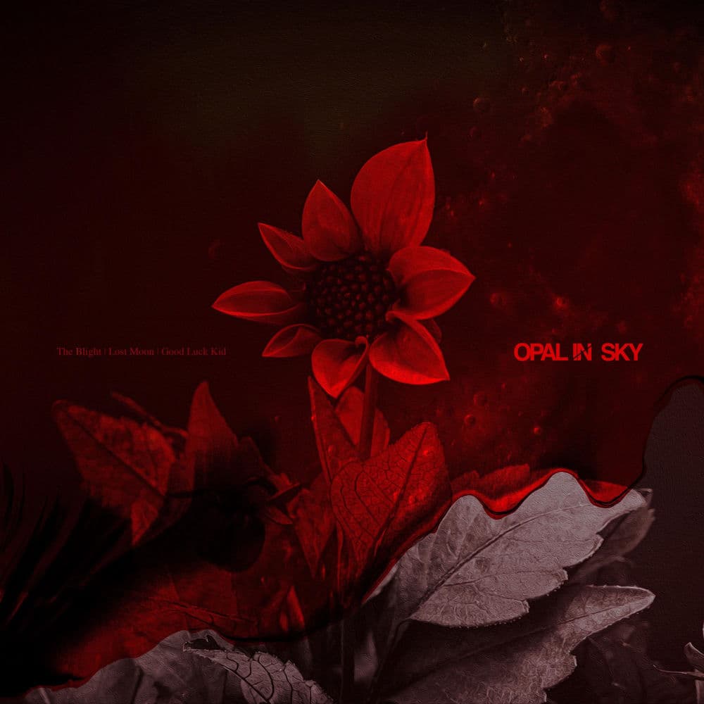 Opal In Sky – Metalcore