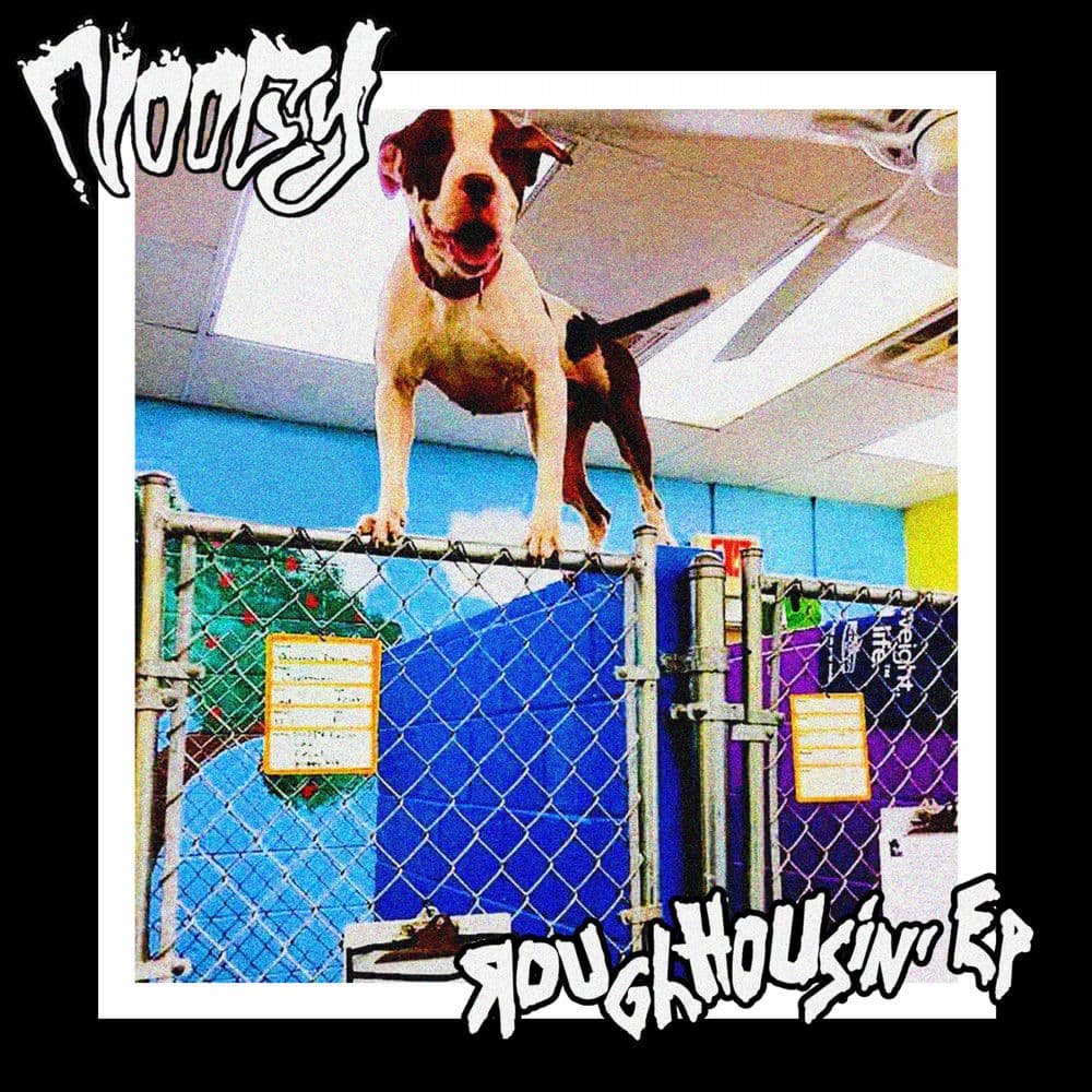 Noogy – Indie Rock
