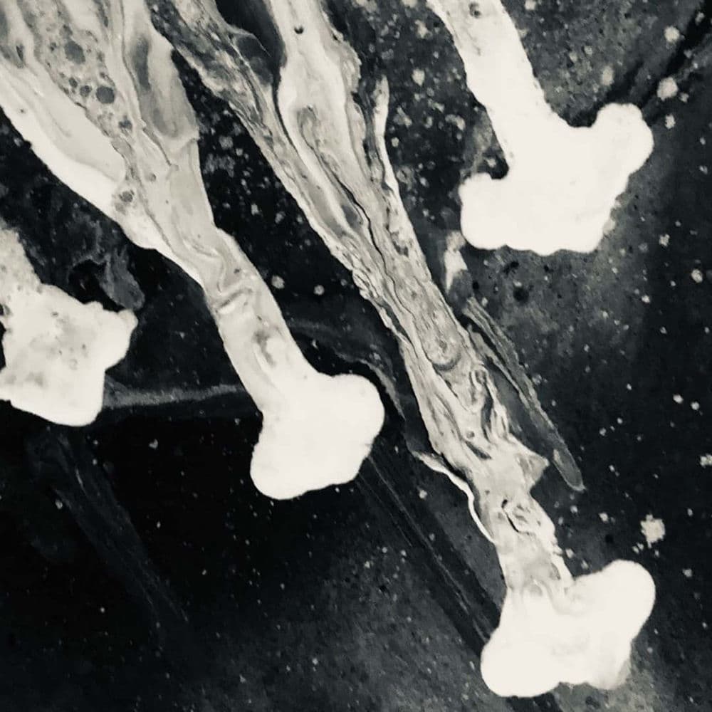Sunnan – Alternative