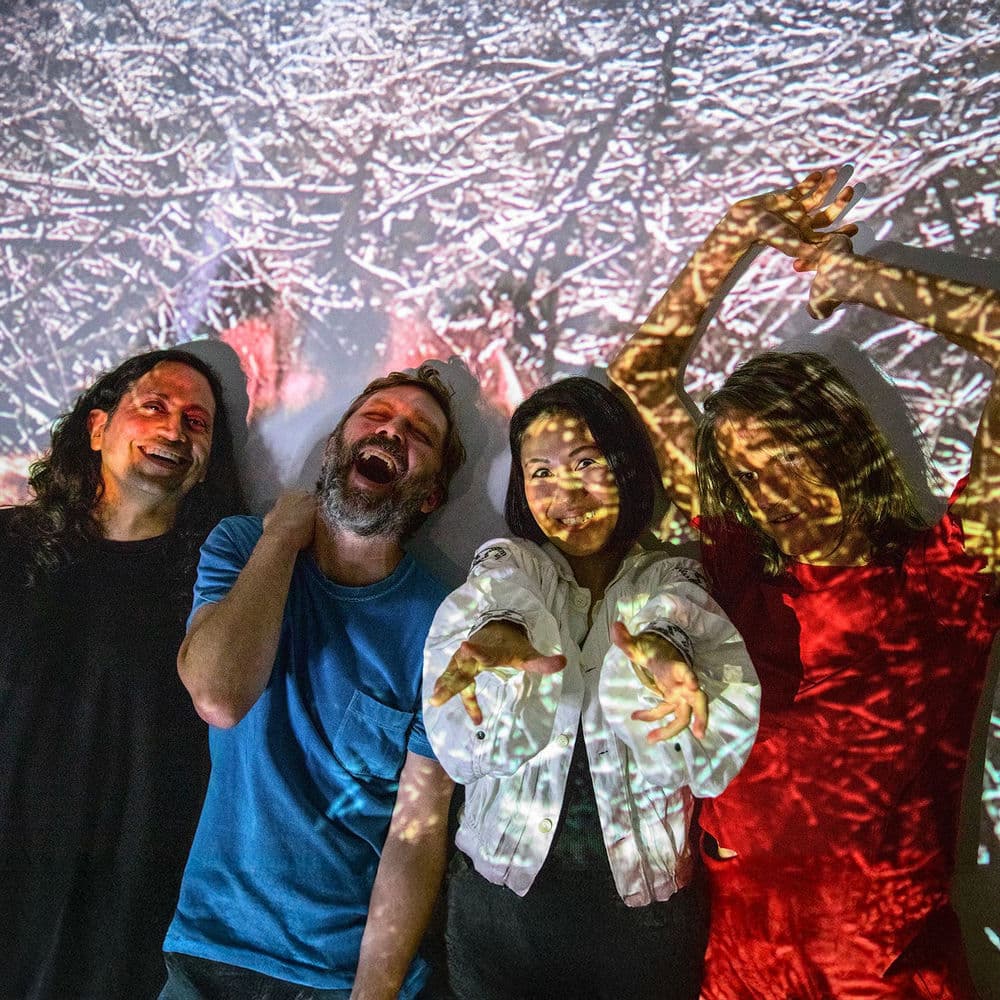 Deerhoof – Indie Rock